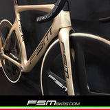 FSM PISTA Gold version